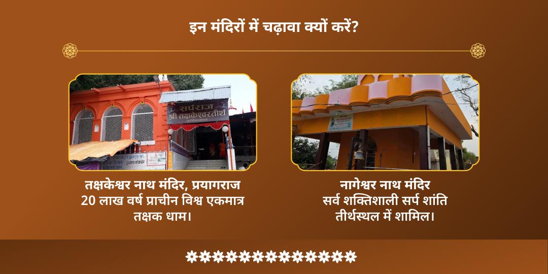नागुला चविथी कुल रक्षण-ग्रह शांति तक्षकेश्वर-नागेश्वर द्विमंदिर चढ़ावा