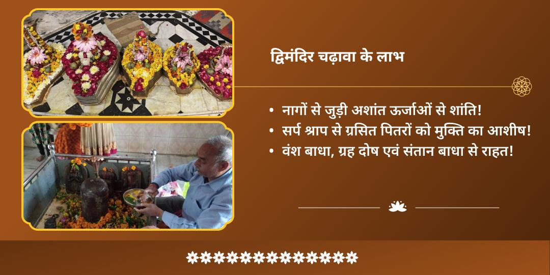 नागुला चविथी कुल रक्षण-ग्रह शांति तक्षकेश्वर-नागेश्वर द्विमंदिर चढ़ावा