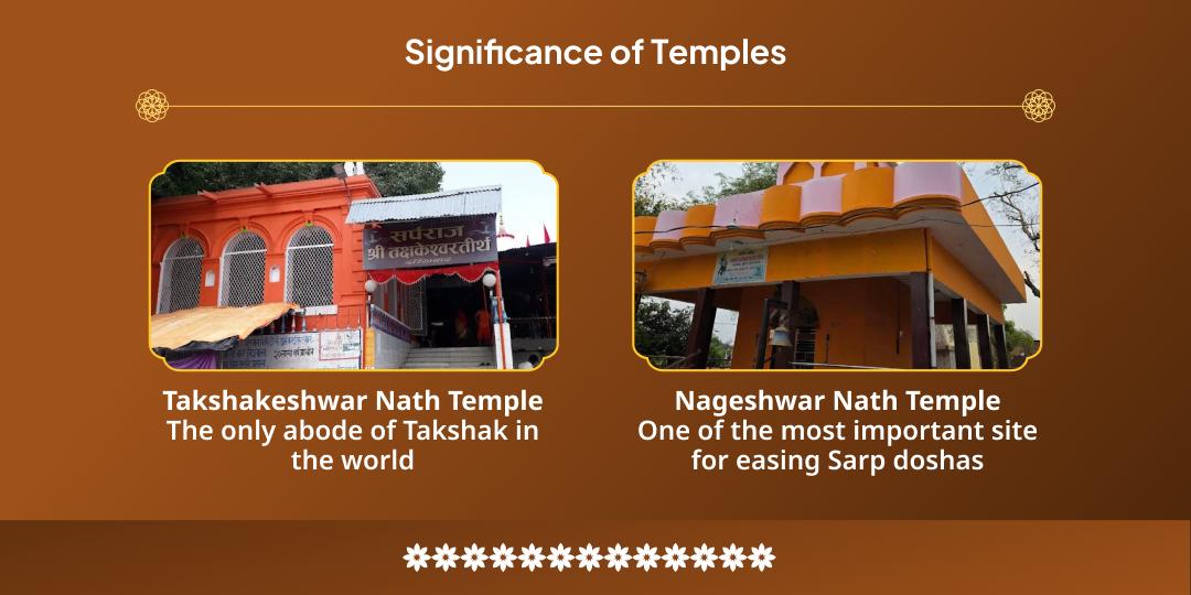 Nagula Chavithi Kul Rakshan-Grah Shanti Takshakeshwar-Nageshwar 2 Temple Chadhava