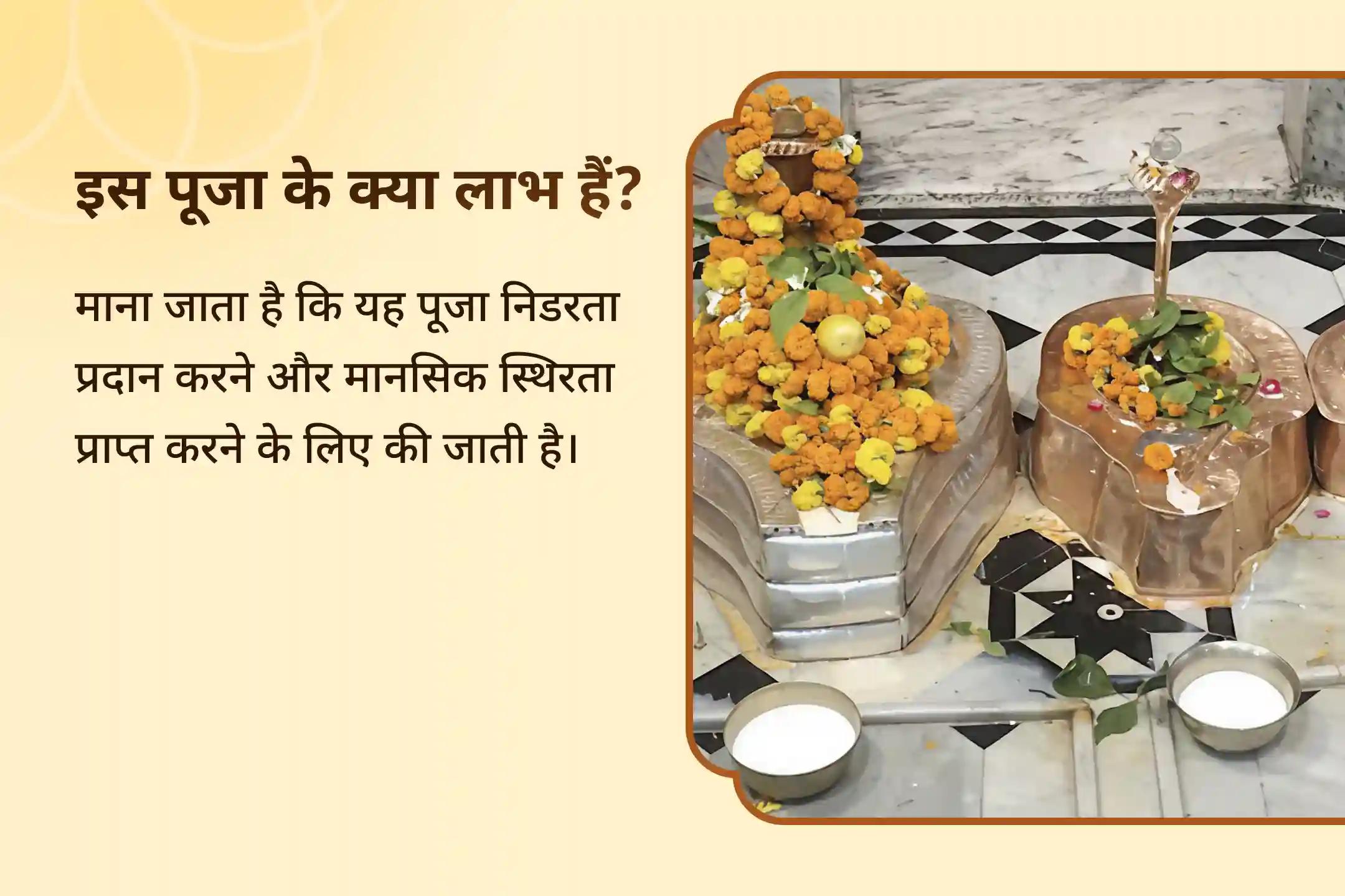 निर्भयता और मानसिक स्थिरता प्राप्त करने के लिए तक्षकेश्वर काल सर्प दोष शांति पूजा और शिव रुद्राभिषेक🕉️