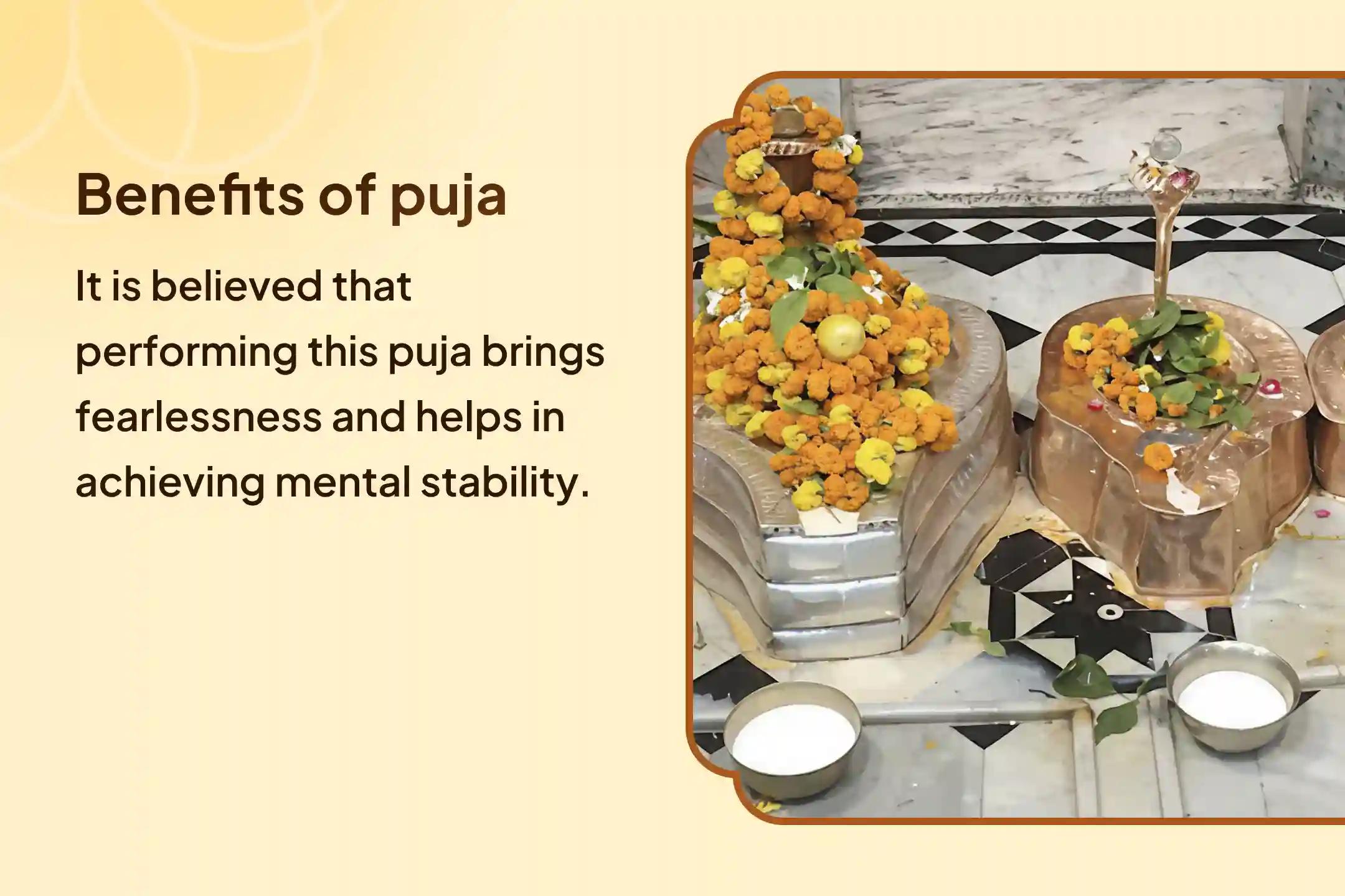 Takshakeshwar Kaal Sarp dosha Shanti Puja and Shiv Rudrabhishek for fearlessness and achieving mental stability🕉️