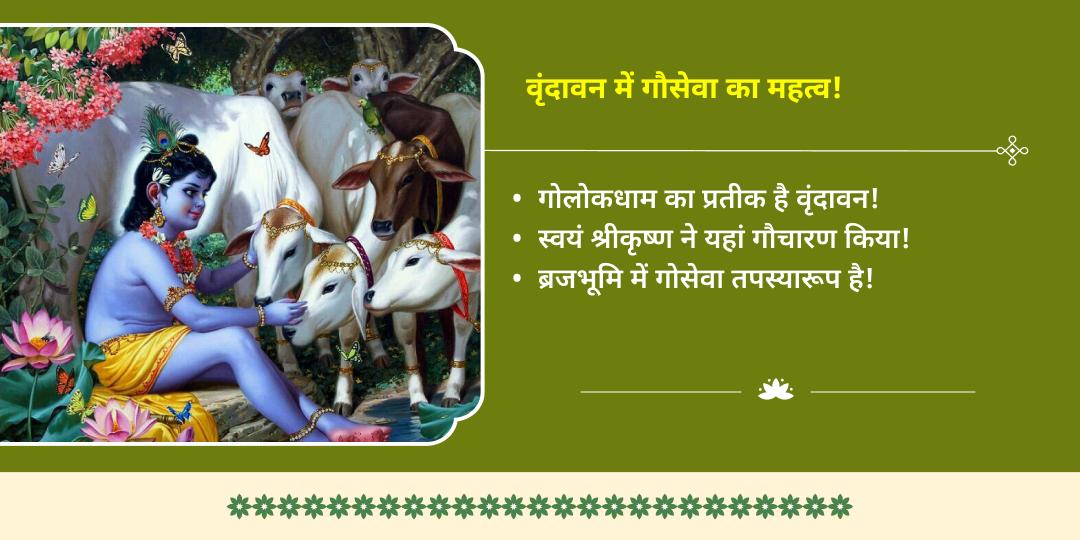 गोपाष्टमी कृष्ण नगरी वृंदावन मदन मोहन चढ़ावा एवं गौसेवा