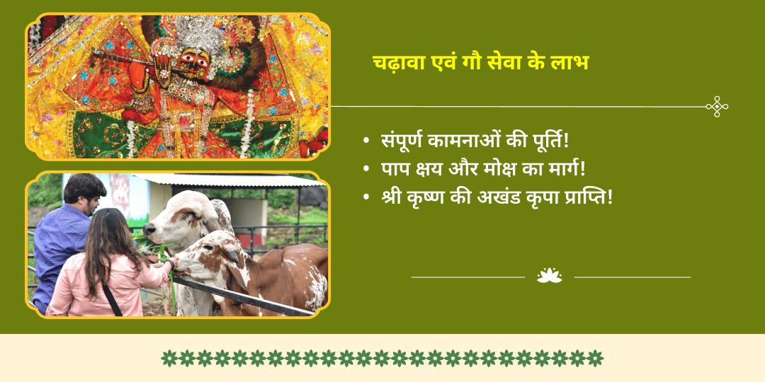 गोपाष्टमी कृष्ण नगरी वृंदावन मदन मोहन चढ़ावा एवं गौसेवा
