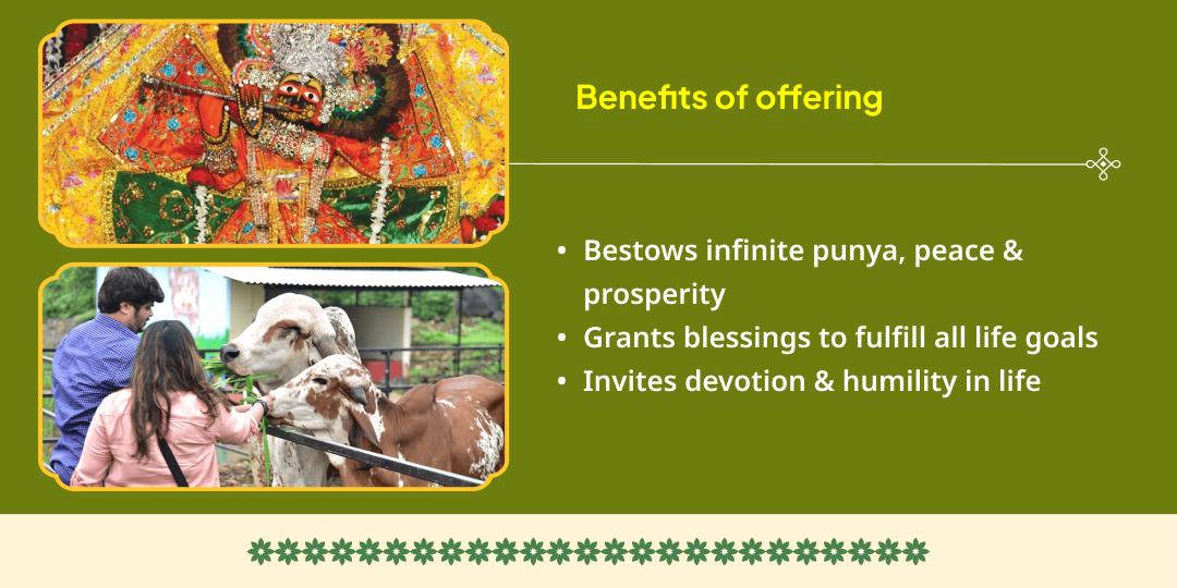 Gopashtami Vrindavan Madan Mohan Chadhava & Gauseva
