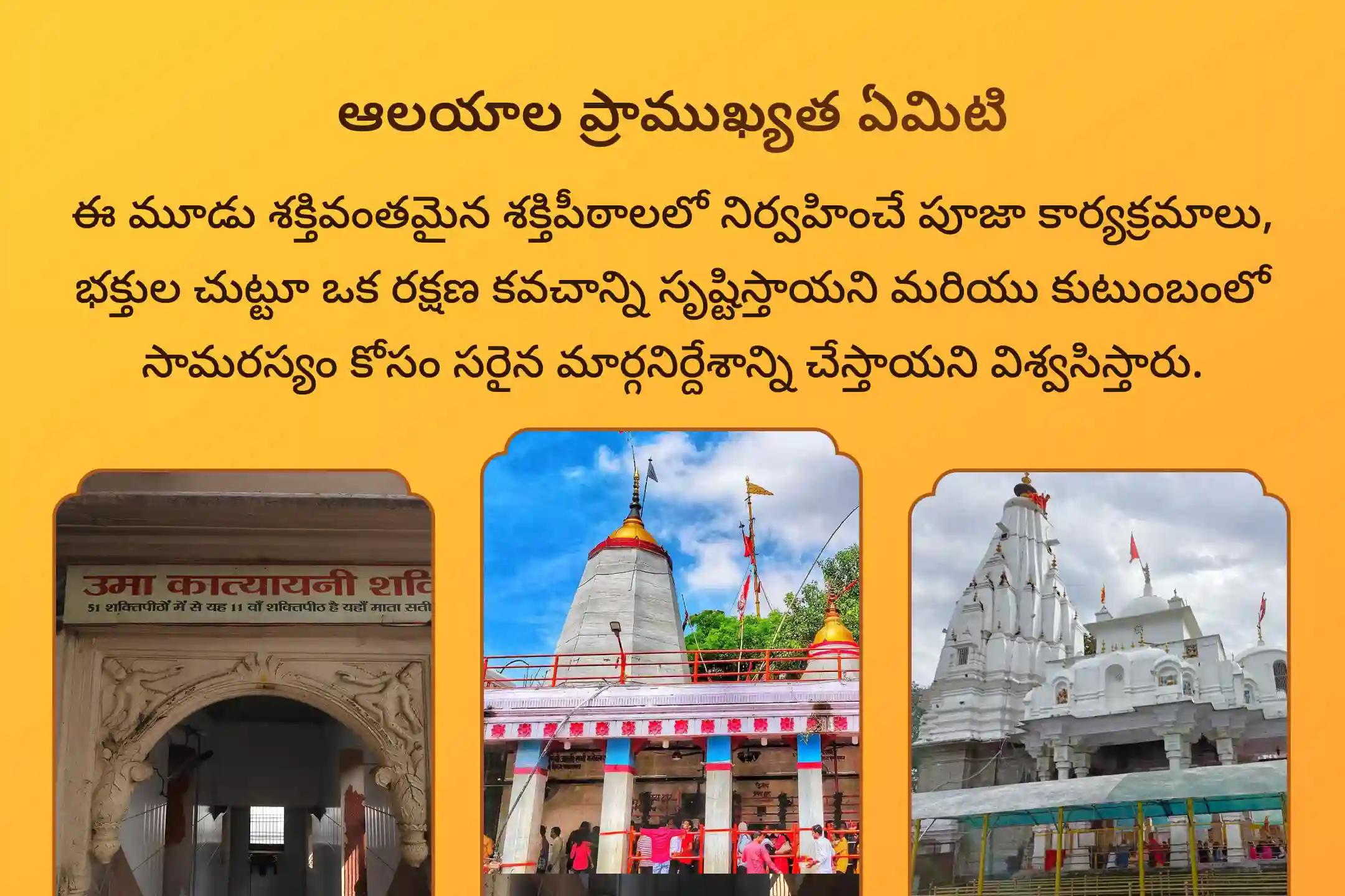 ప్రతికూలత మరియు నరదృష్టి నుండి రక్షణ కోసం కార్తీక మాసం దుర్గాష్టమి 3 శక్తిపీఠాల ప్రత్యేక దుర్గా సప్తశతి పారాయణం మరియు చండీ హోమంలో పాల్గొనండి.