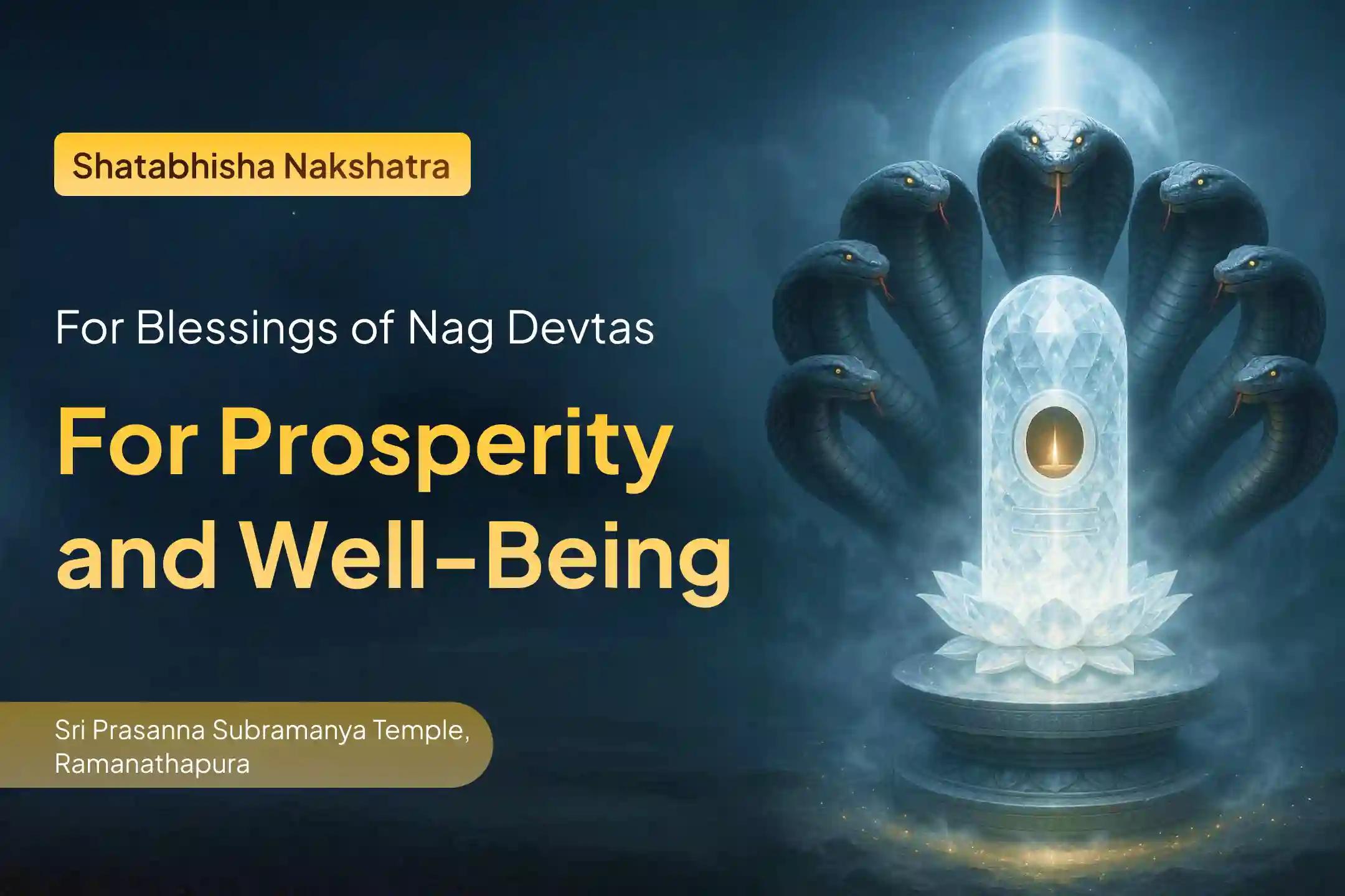 Participate in the Nakshatra of Rahu Special Naag Pratishtha Puja to get blessings from Naga Devta