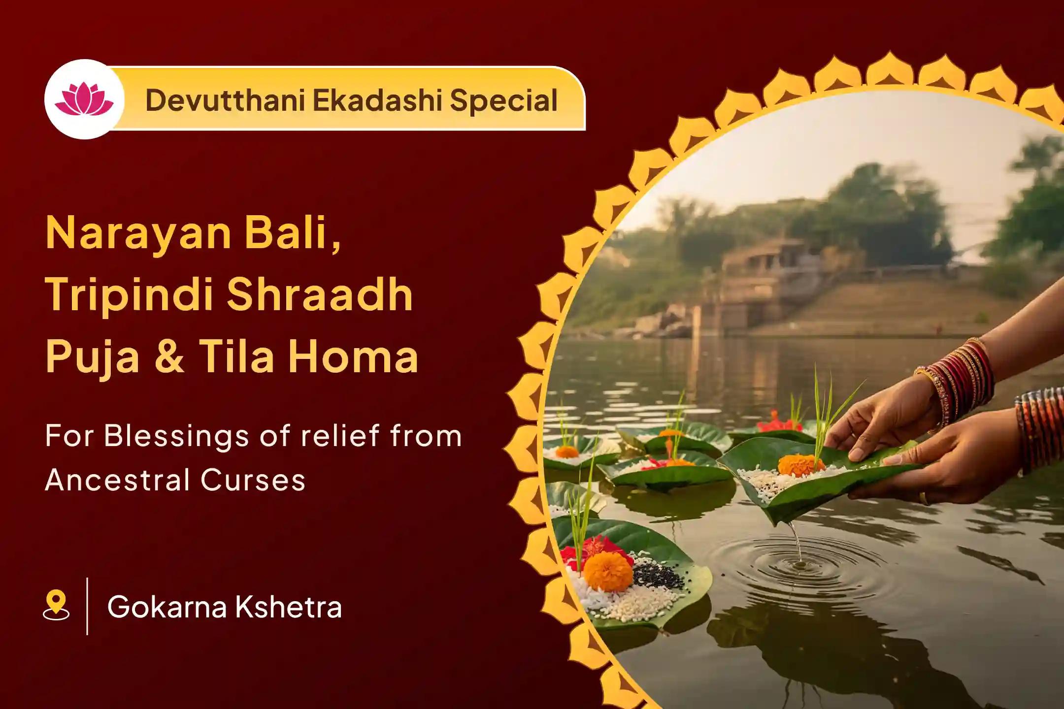 🔥 Awaken ancestral peace this Devutthani Ekadashi - perform the Gokarna Narayan Bali Special to break lineage curses and restore harmony to your family 🌿🕊️
