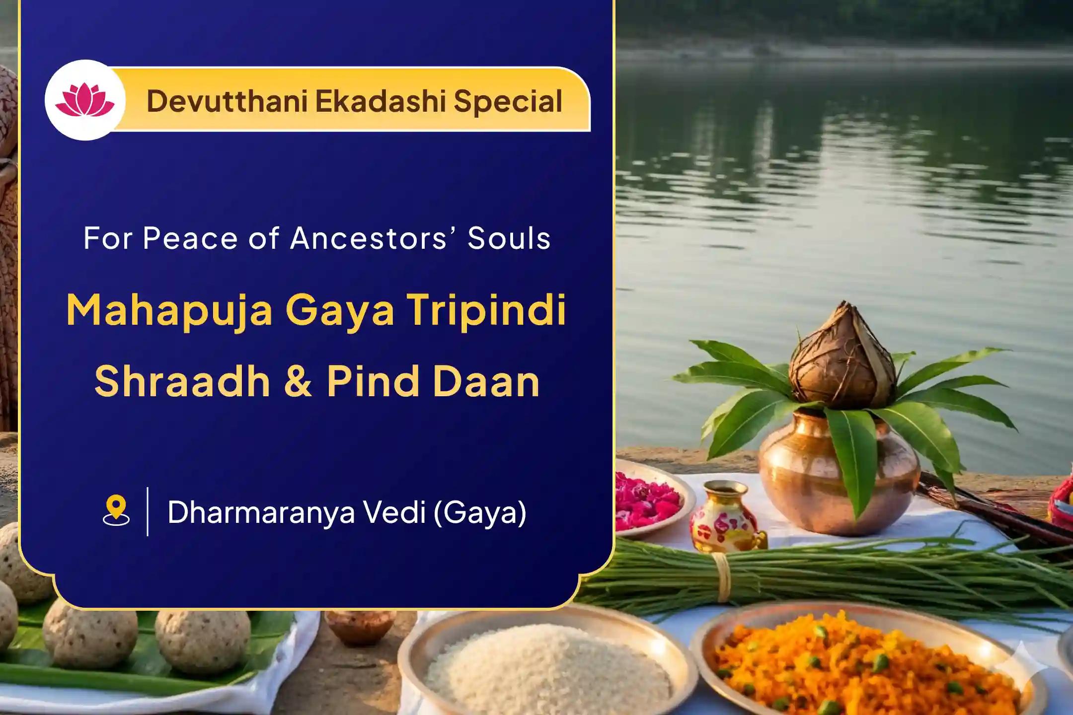 📿 Feeling stuck in life? Receive blessings and stability by offering Pind Daan for your ancestors in Gaya.