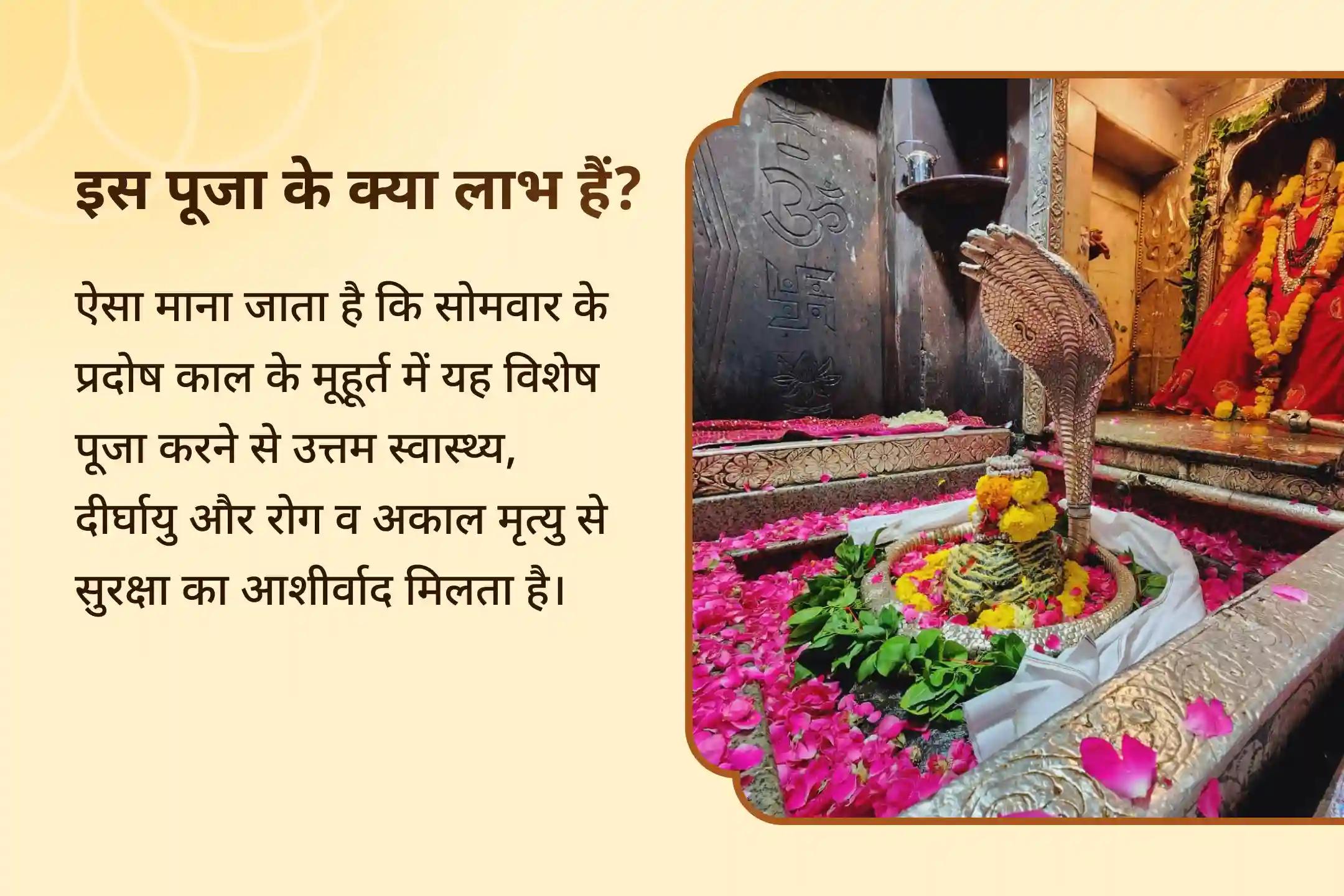 🔱 सोमवार के प्रदोष काल के मूहूर्त में ओंकारेश्वर ज्योतिर्लिंग में होने जा रहा है 11,000 महामृत्युंजय जाप का अनुष्ठान इस पूजन में शामिल होकर अपने परिवार के स्वास्थ्य, सुरक्षा और दीर्घायु का आशीर्वाद पाएं। 🙏🕉️