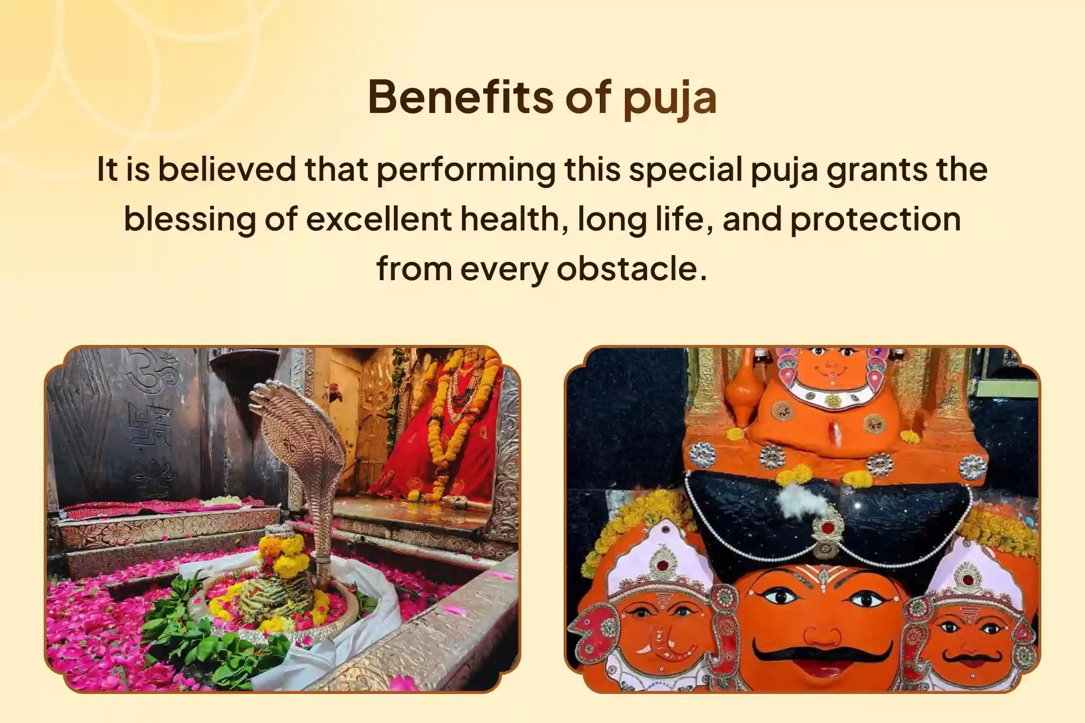 Participate in the Shiv Rudrabhishek and Shani Graha Peeda Shanti Mahayagya for relief from mental stress, delays, and obstacles caused by Shani Dosha