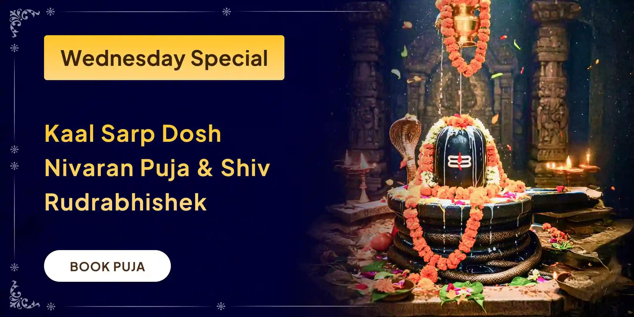 Kaal Sarp Dosha Nivaran Puja and Trimbakeshwar Jyotirlinga Rudrabhishek