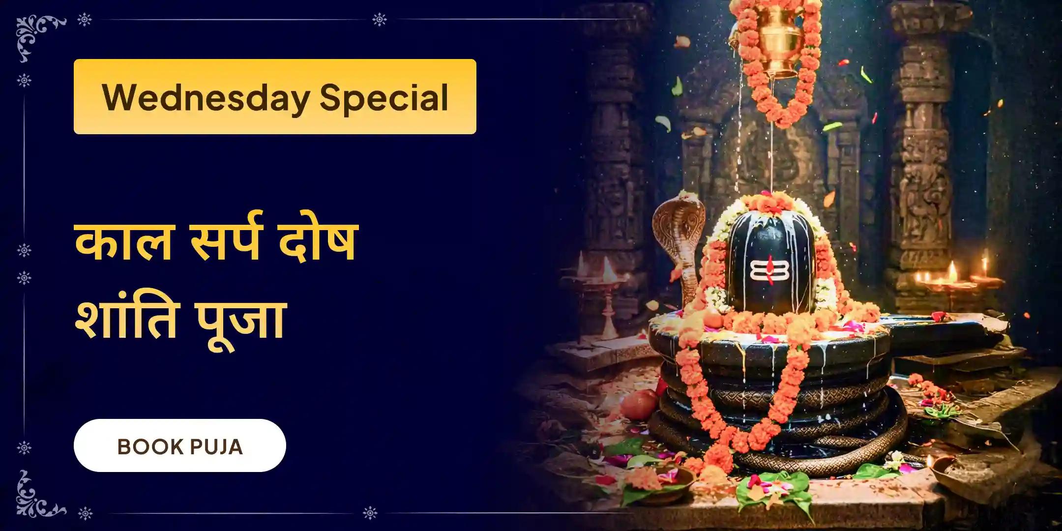 काल सर्प दोष निवारण पूजा एवं त्र्यंबकेश्वर ज्योतिर्लिंग रुद्राभिषेक