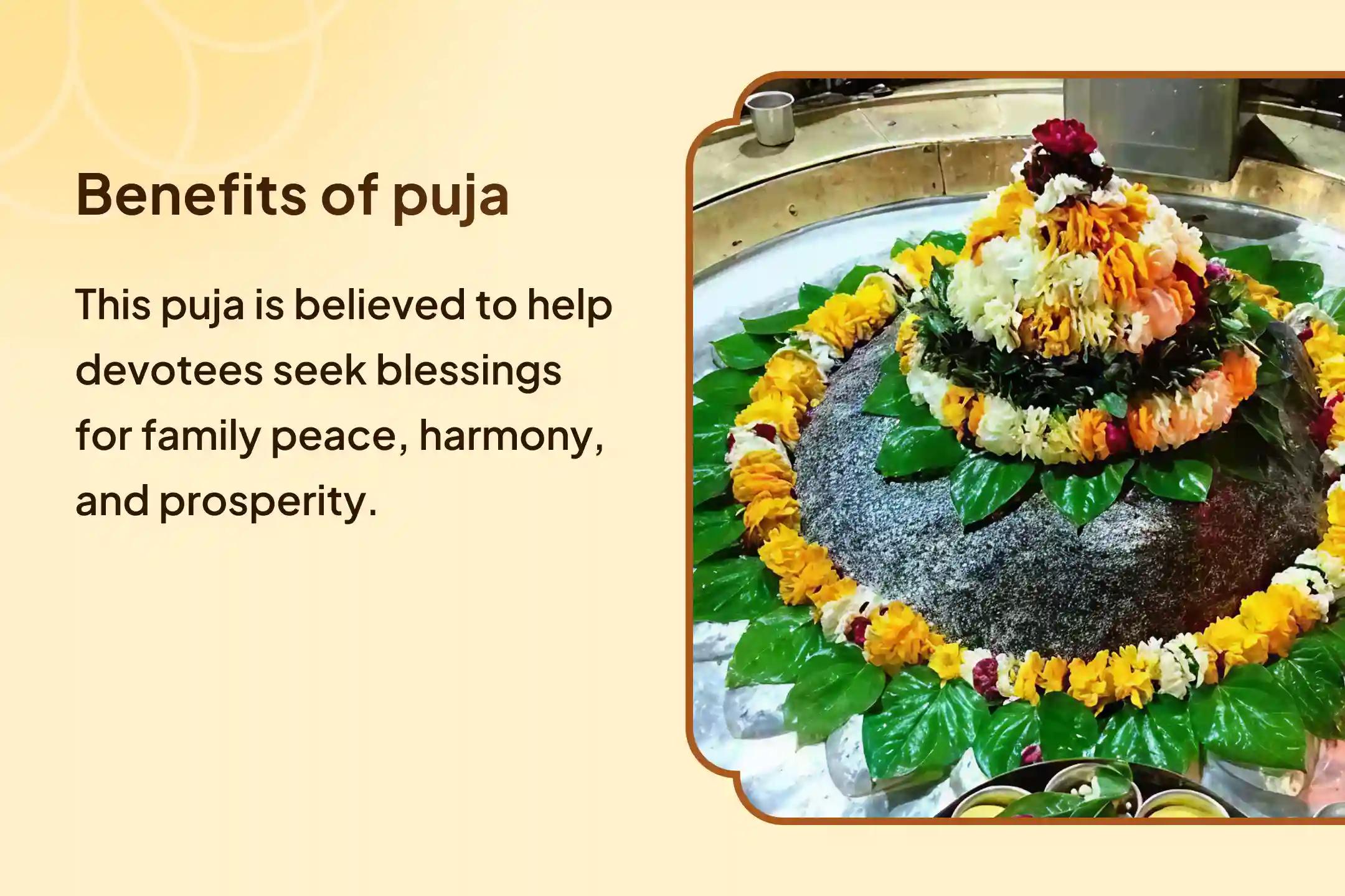 ✨ Join the Puja for Prosperity to dissolve family discord and invite divine peace, harmony, and abundance into your home! 🕉️💫