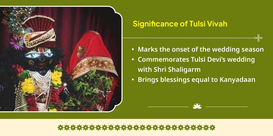 Tulsi Vivah Mahotsav Shaligram & Maa Tulsi Shringar & Pujan