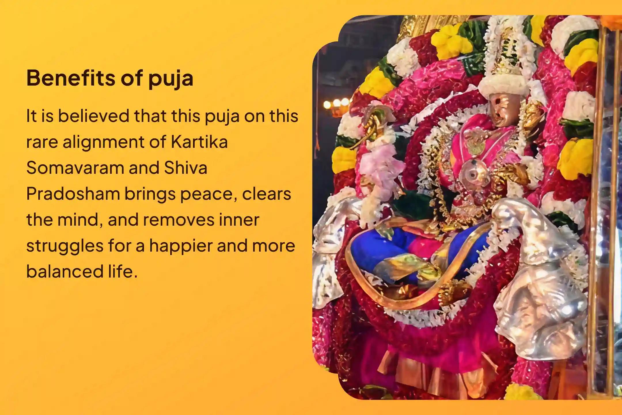 Participate in the Kartik Masam Som Pradosham Arunachalam Special Rudrabhishek Puja and Homam to receive blessings of Lord Shiva and bliss in life.