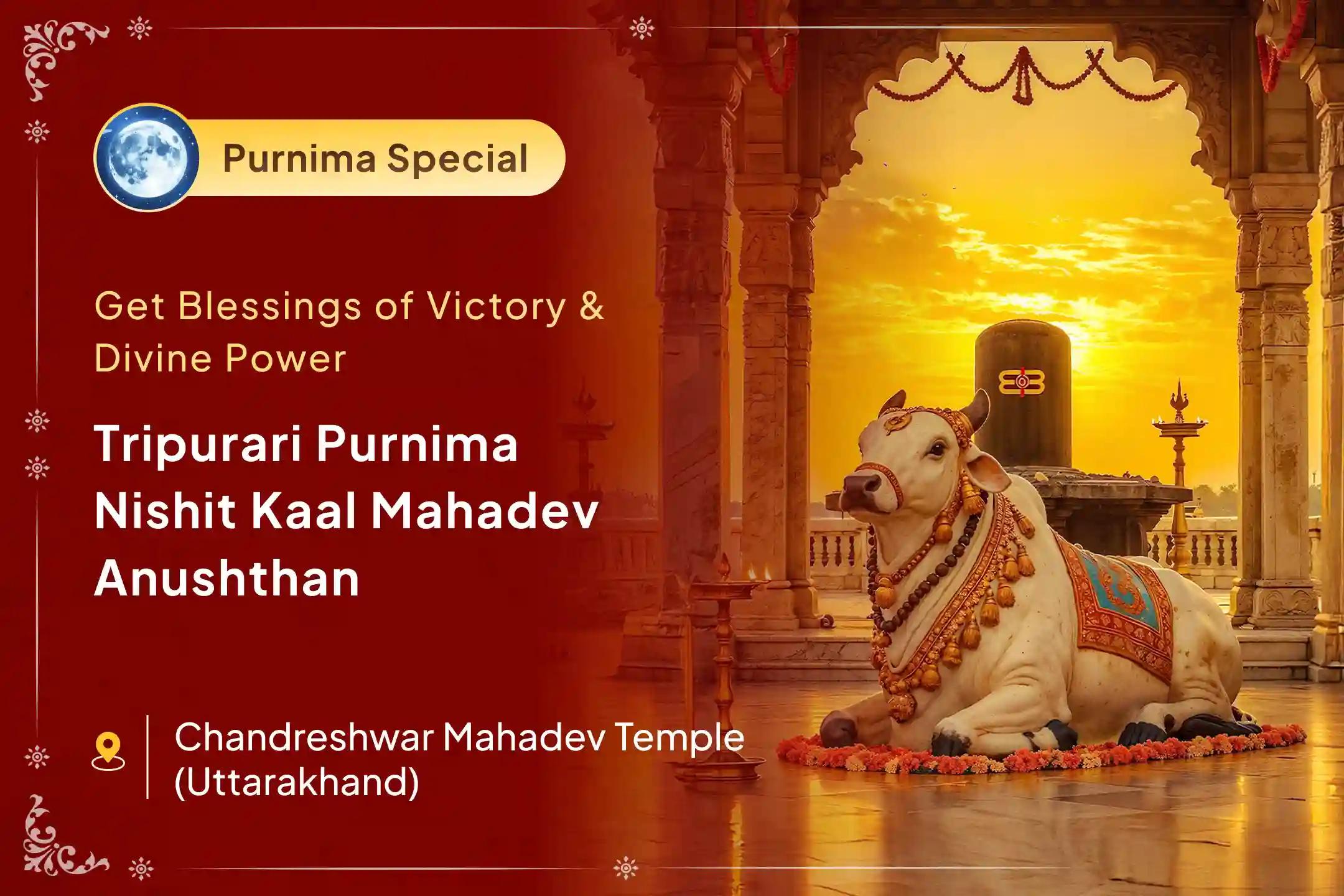 🔱 Troubles constantly blocking your success? On this powerful night of Tripurari Purnima, the grace of Lord Shiva is blessed with divine victory.