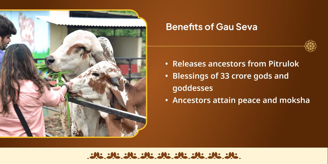 Kartik Purnima Moksha Amrit Prapti Teerthraj Prayag Gau Seva