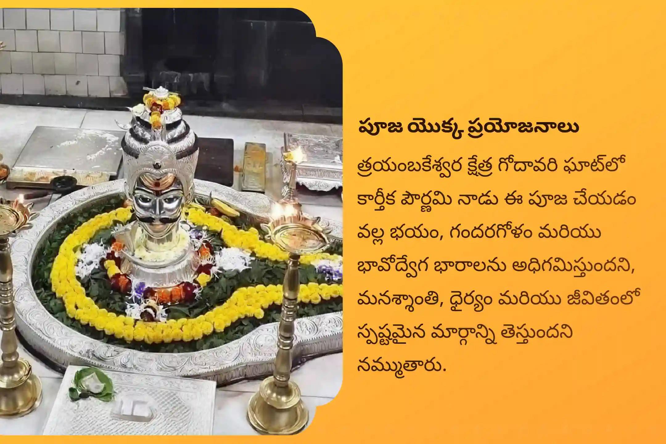 నిర్భయత మరియు మానసిక స్థిరత్వాన్ని సాధించడం కోసం కార్తీక పౌర్ణమి త్రయంబకేశ్వర క్షేత్ర ప్రత్యేక కాల సర్ప దోష శాంతి పూజలో పాల్గొనండి.