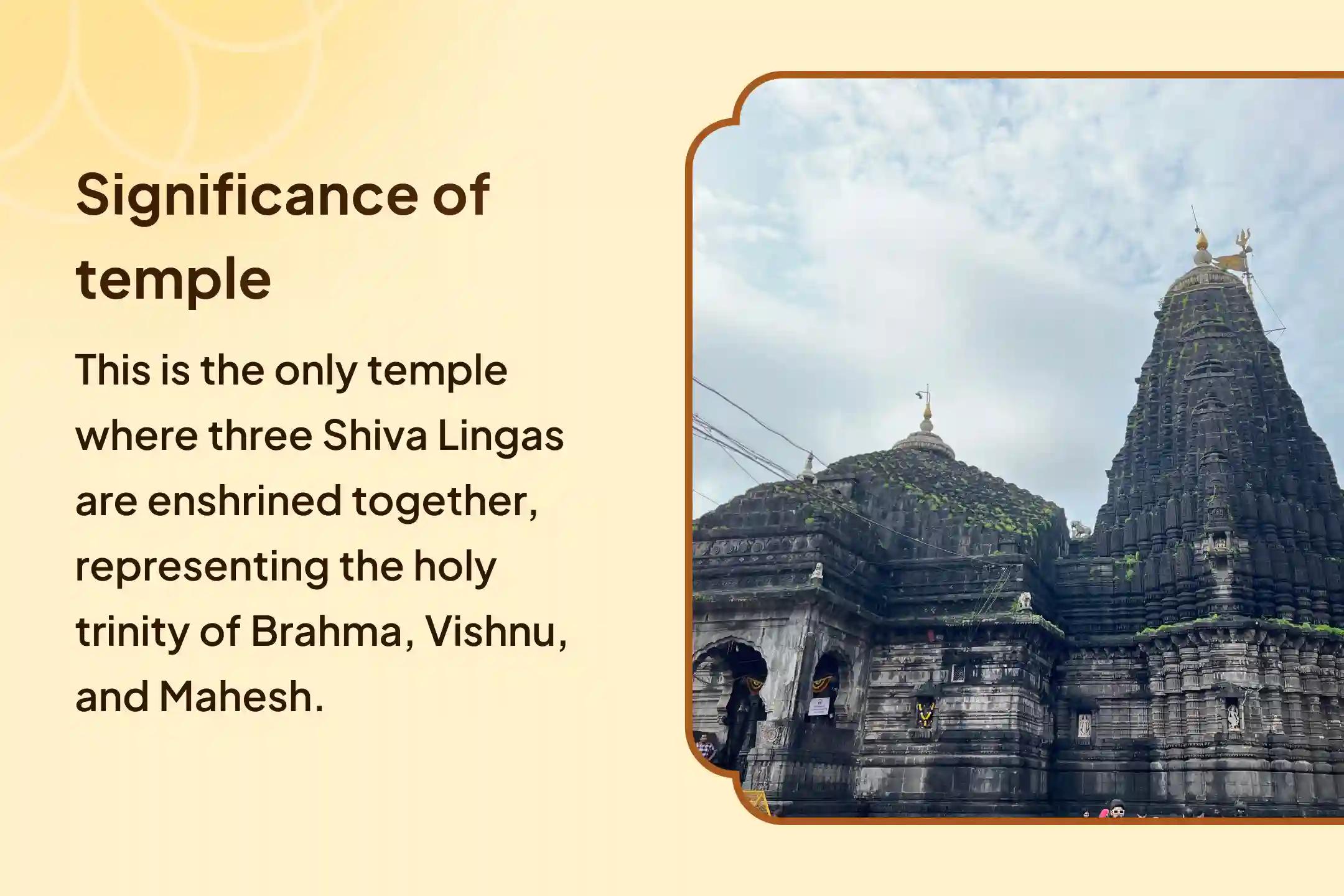 🌸 Participate in the special rituals at Shri Trimbakeshwar Jyotirlinga to receive Mahadev’s blessings for good health, protection from the evil eye, and shield from negative energies 🙏✨🔥🌺