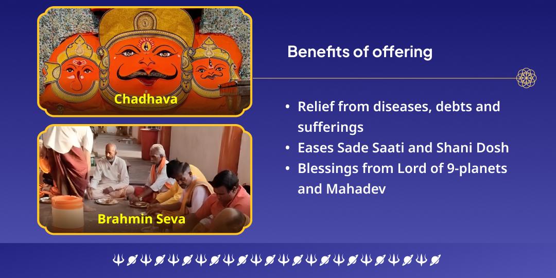 Shani Ekadashi Kundali Dosha Shanti Navgrah Shani Chadhava-Brahmin Seva