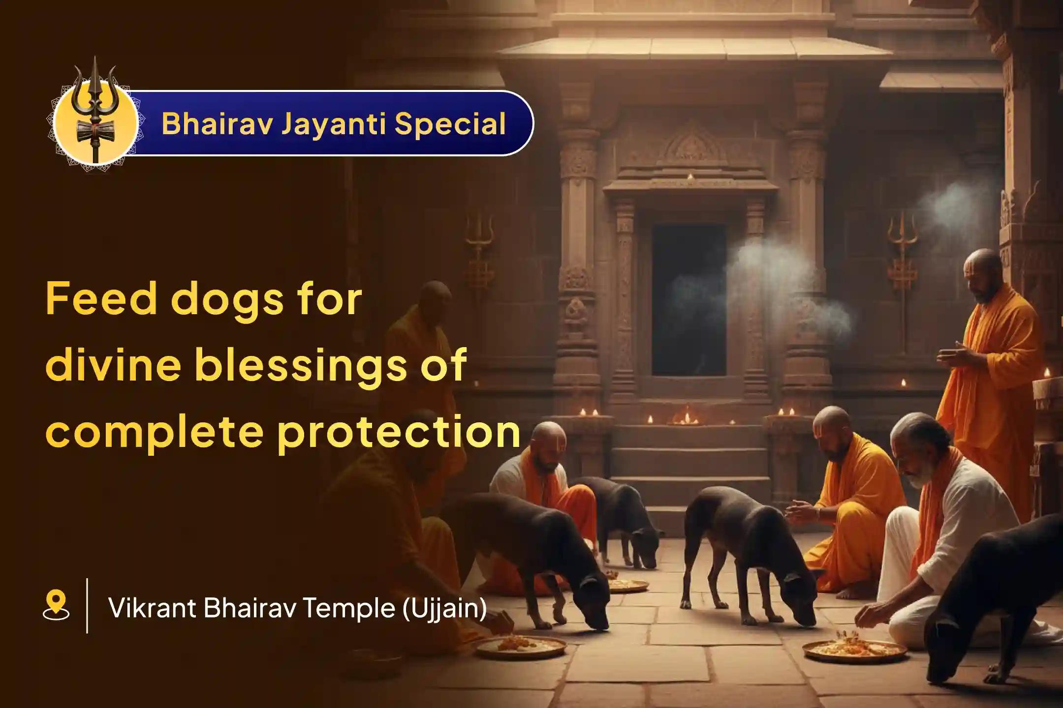 🐾 This Kaal Bhairav Jayanti, seek the Divine Guardian’s grace - offer food to dogs and invite His protection, blessings, and wellbeing for your family 🕉️