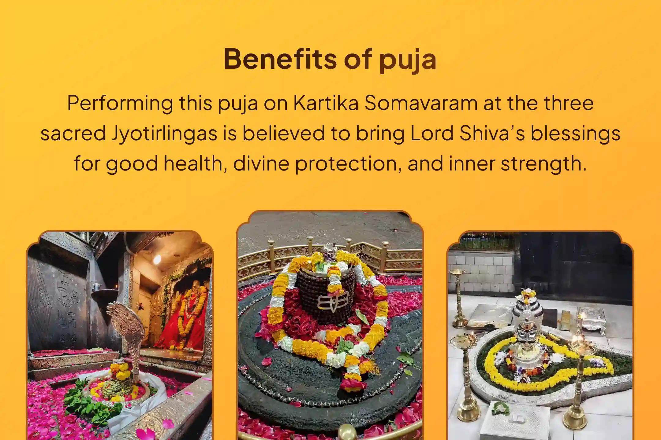 Participate in the Kartika Somavaram 3 Jyotirlinga Combo Special 3 - Jyotirlinga - Trimbakeshwar, Omkareshwar, and Ghrishneshwar Rudrabhishek and Rudra Homam for blessings of health, protection, and strength.