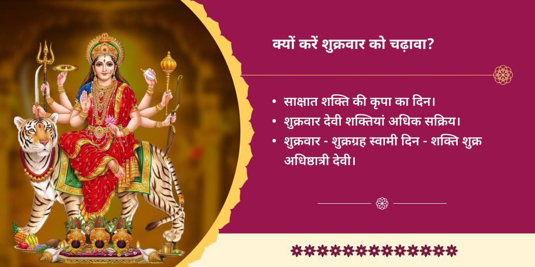 शुक्रवार विंध्यवासिनी शक्तिपीठ विंध्याचल धाम चढ़ावा