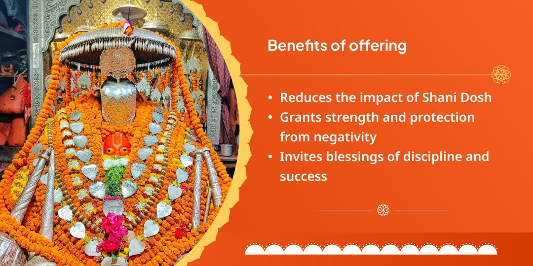 Saturday Shani Peeda Shanti Sankatmochan Hanuman Garhi Chadhava