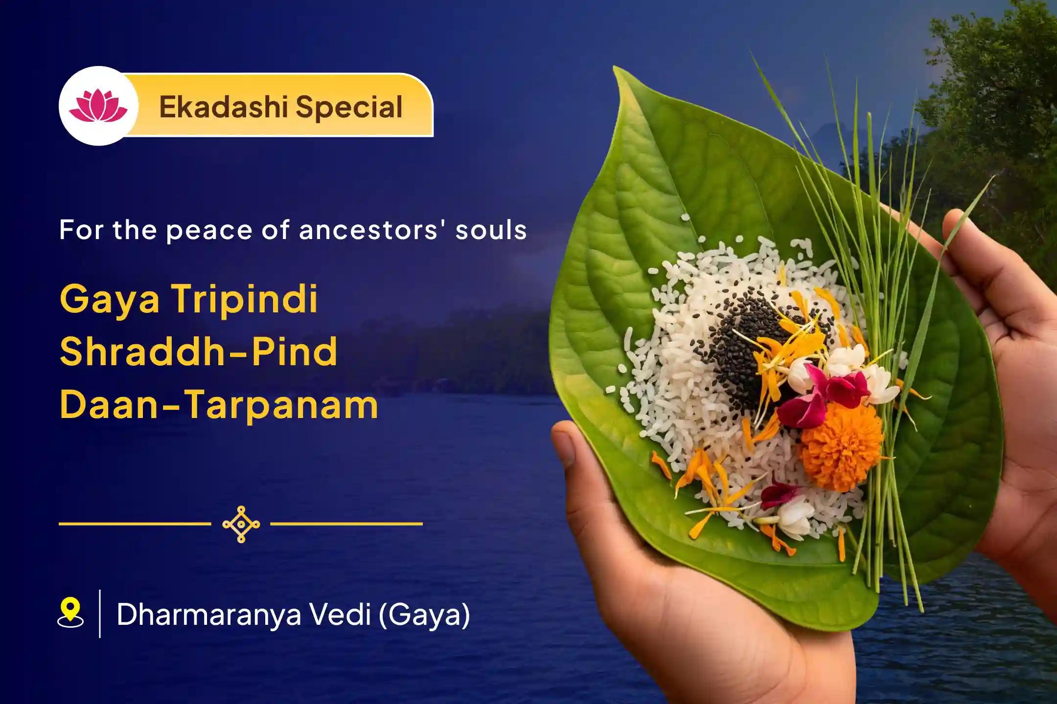📿 Does it feel like everything in life has come to a halt? On this Ekadashi, you may attain peace for the souls of your ancestors and their divine blessings by participating in the special ritual held at the holy Gaya pilgrimage for ancestral rites.