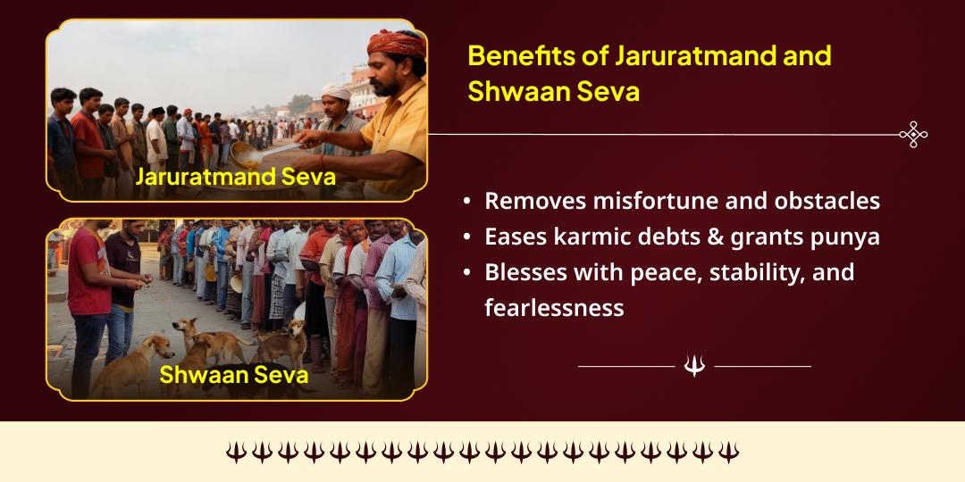  Kaal Bhairav Jayanti Kashi Jaruratmand & Bhairav Vahan Shwaan Seva