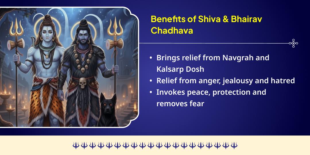 Kaal Bhairav Jayanti Shiv 3 Jyotirling & Bhairav 3 Temple Chadhava