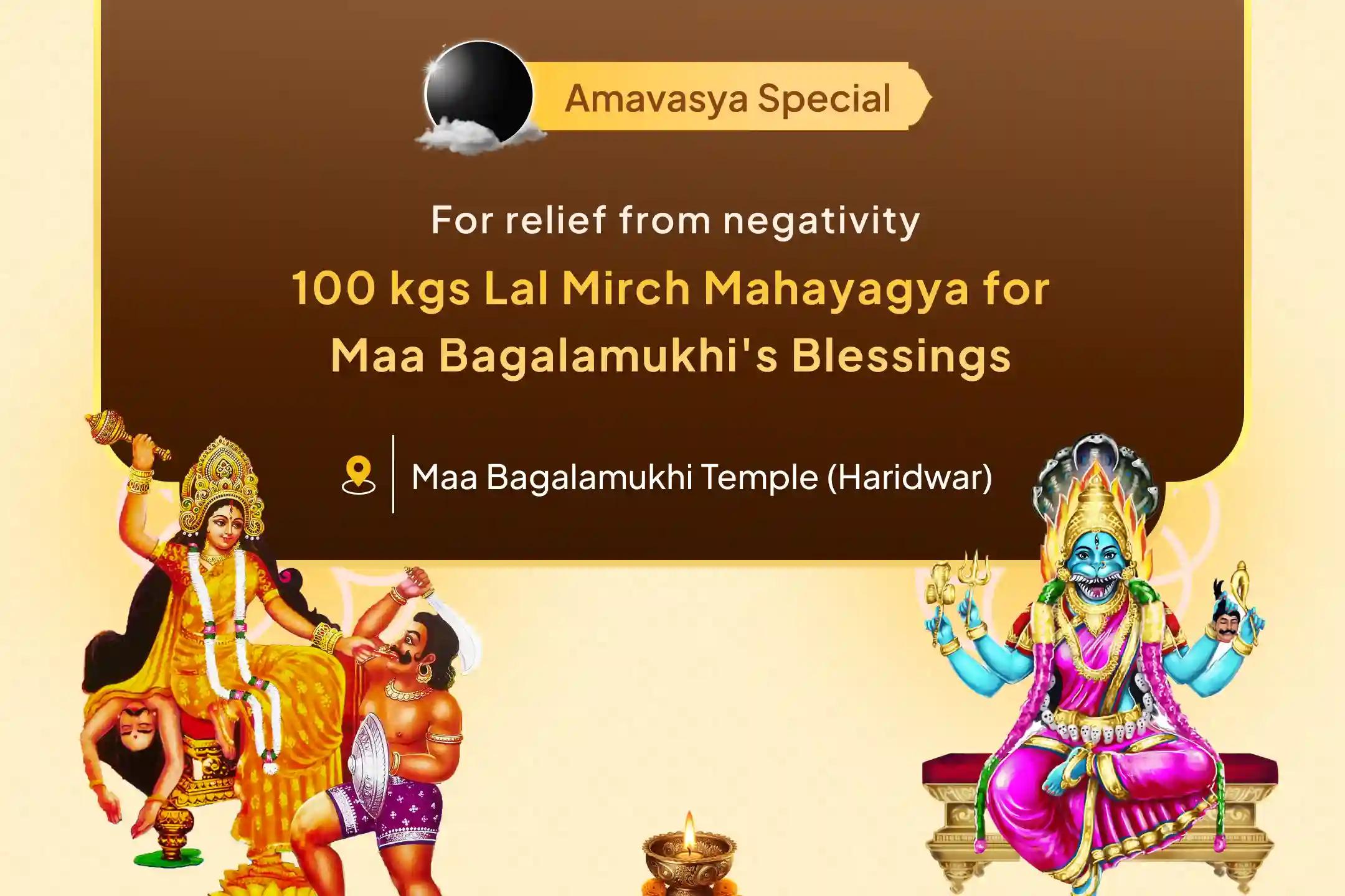 This Amavasya, invoke the divine protection of the Devi and reduce negative energies through the 100 Kg Lal Mirch Agni Ahuti Maha Yagya with Bagalamukhi-Pratyangira Kavach Anushthan and 1,25,000 Mool Mantra Jaap.