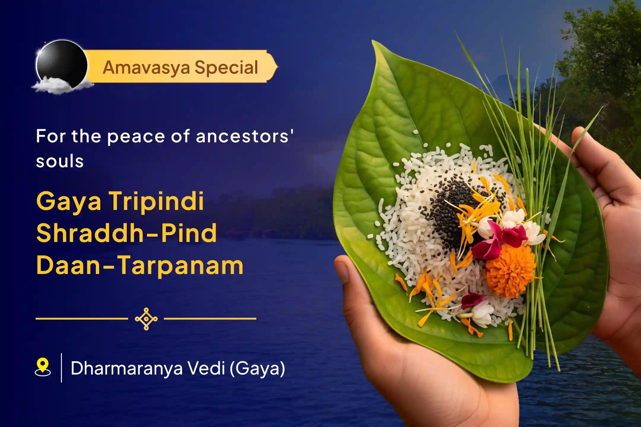 📿Does it feel like everything in life has come to a halt? On this Amavasya, you may attain peace for the souls of your ancestors and their divine blessings by participating in the special ritual held at the holy Gaya pilgrimage for ancestral rites.