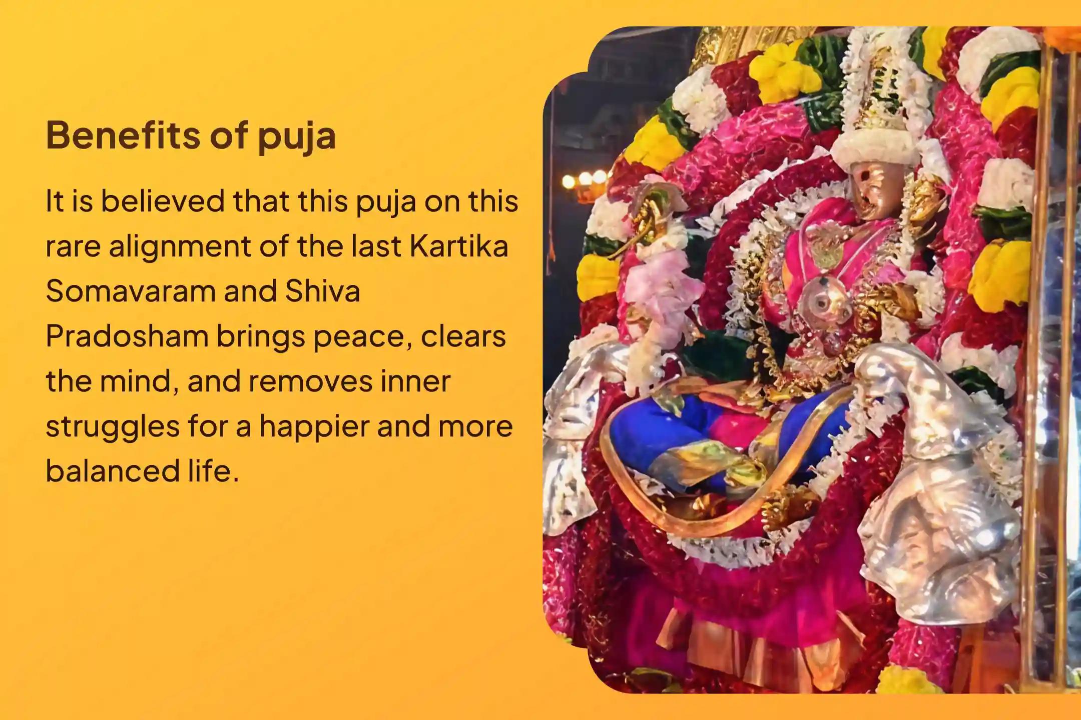 Participate in the Last Kartika Somavaram and Pradosham Arunachalam Special Rudrabhishek Puja and Homam to receive blessings of Lord Shiva and bliss in life.