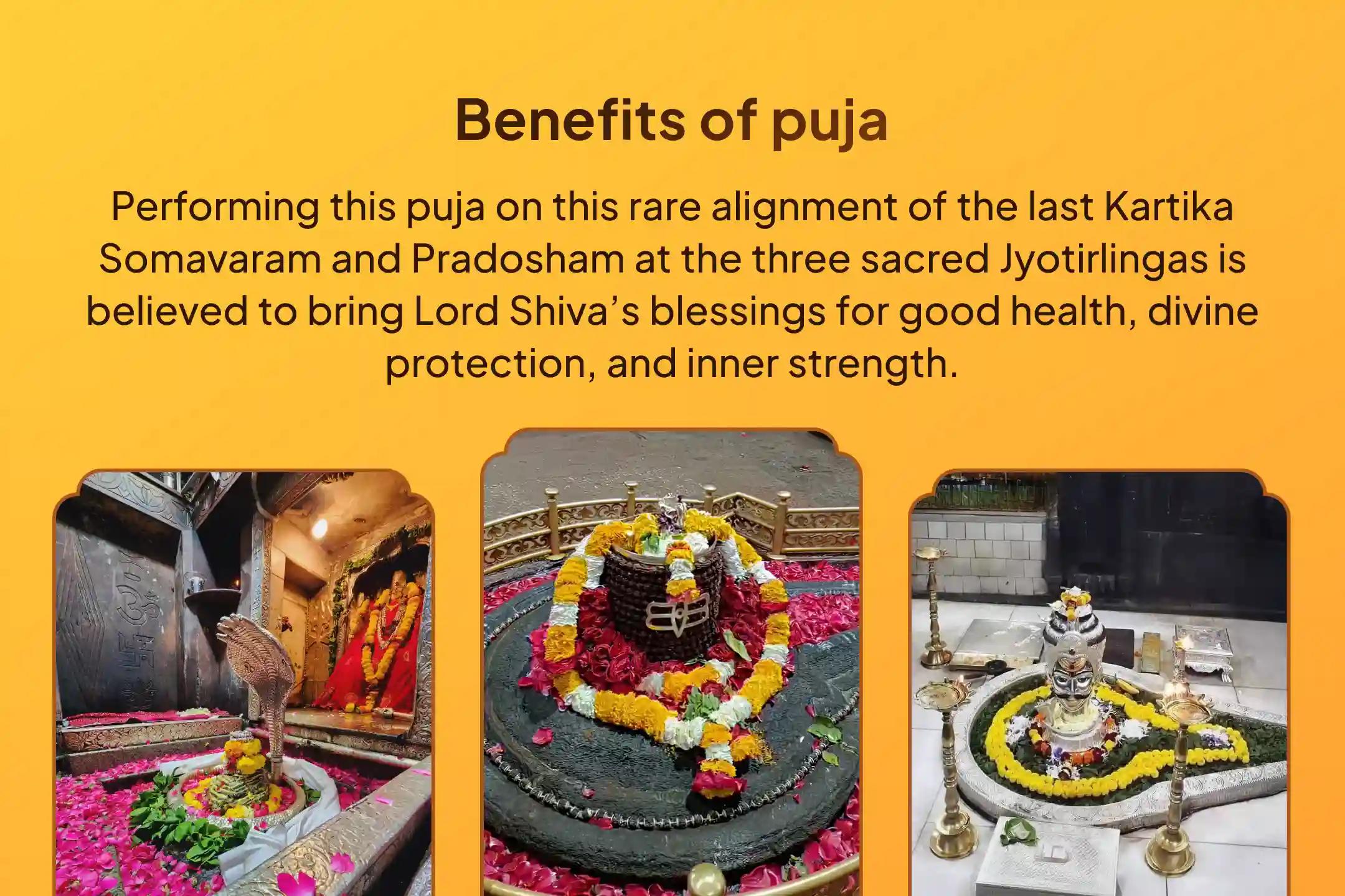 Participate in the Last Kartika Somavaram-Soma Pradosham Special 3 - Jyotirlinga - Trimbakeshwar, Omkareshwar, and Ghrishneshwar Rudrabhishek and Rudra Homam for blessings of health, protection, and strength.