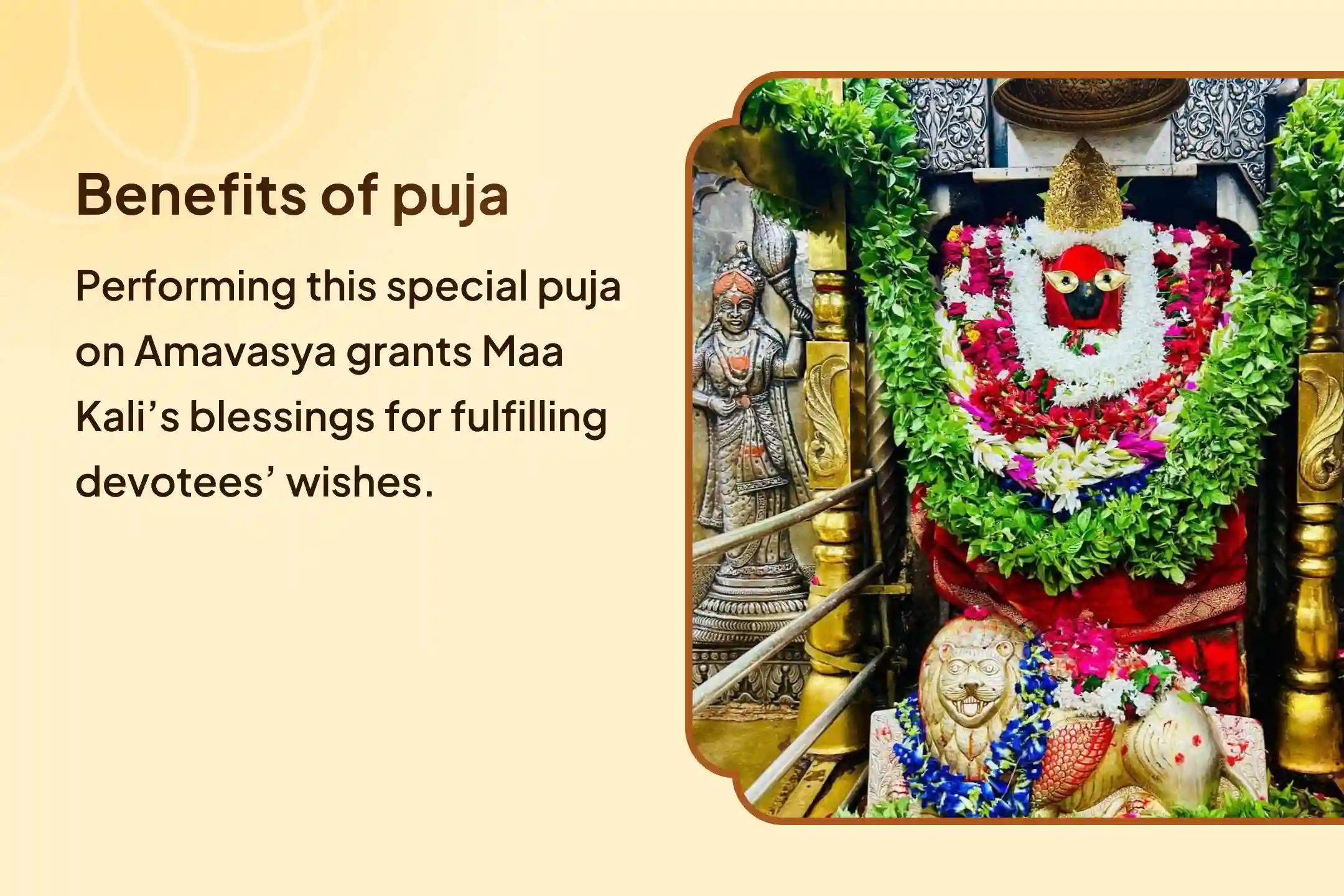 🌸 Attain the blessings of wealth and year-round prosperity through Maa Kali Mata’s Mahanisha Pujan and Havan 🌸