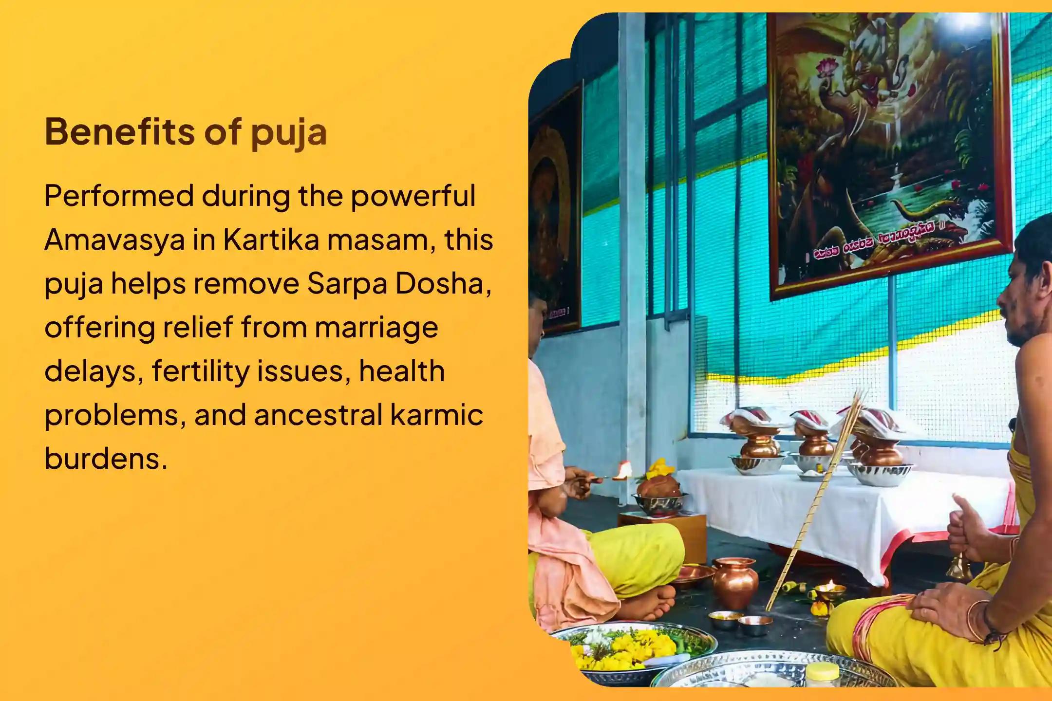 Participate in the Kartika Amavasya Gokarna Special Ashlesha Bali Puja for the removal of Naga Dosha.