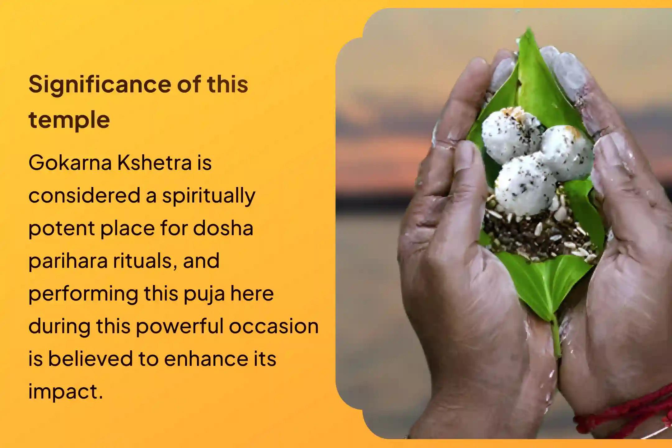 Participate in the Kartika Amavasya Gokarna Special Ashlesha Bali Puja for the removal of Naga Dosha.