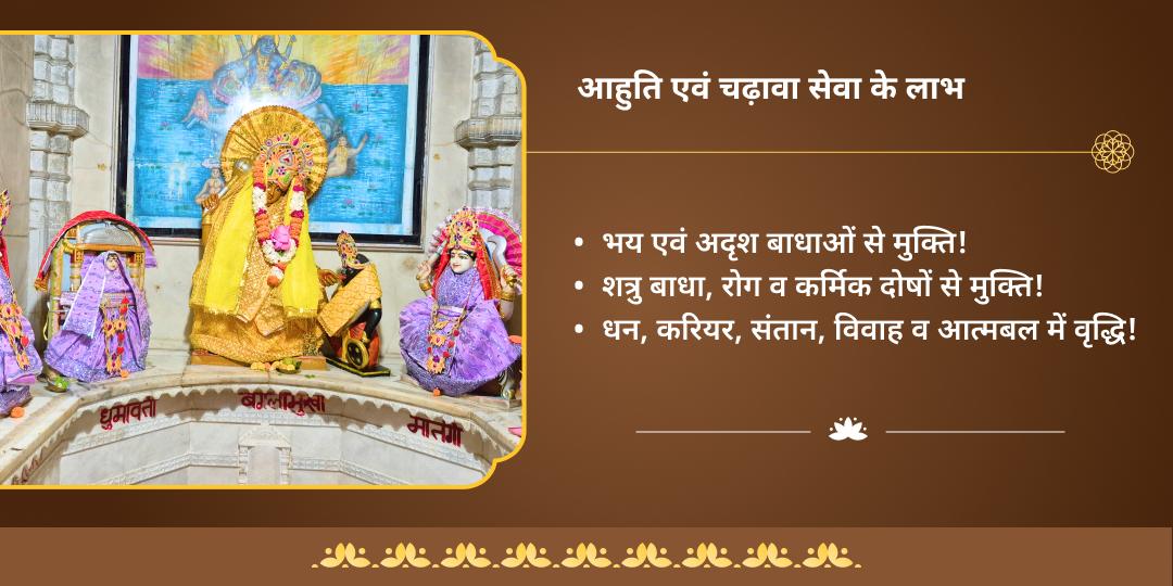 अदृश्य बाधा निवारक 10 महाविद्या चढ़ावा एवं हवन﻿