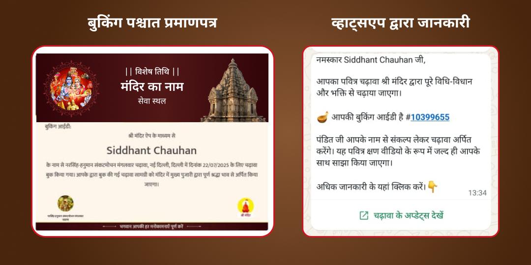 अदृश्य बाधा निवारक 10 महाविद्या चढ़ावा एवं हवन﻿