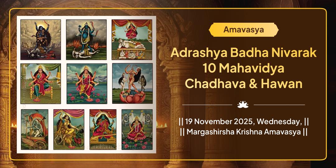 Adrashya Badha Nivarak 10 Mahavidya Chadhava & Hawan