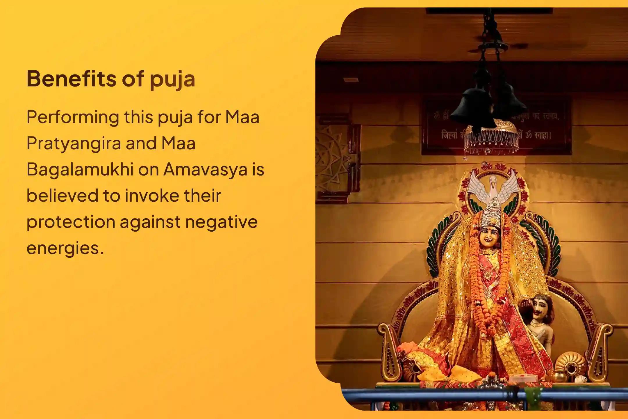 Participate in the Amavasya Mahavidhya 36 Brahmin Mahanushthan 1,25,000 Bagalamukhi Mool Mantra Jaap, Bagalamukhi-Pratyangira Kavach Path, and Homam for Devi's protection to repel negative energies and influences.