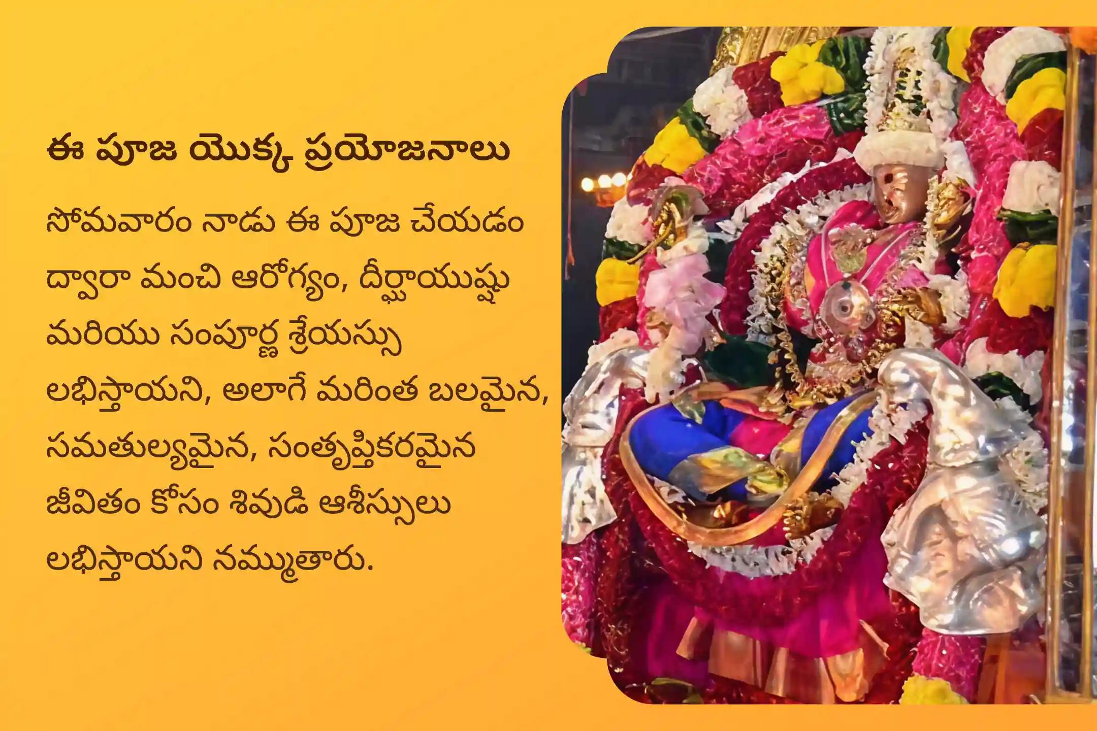 మంచి ఆరోగ్యం మరియు దీర్ఘాయువు యొక్క ఆశీర్వాదాలు పొందడానికి అరుణాచలం క్షేత్రం సోమవారం ప్రత్యేక అరుణాచలం క్షేత్ర శివ రుద్రాభిషేకం మరియు రుద్ర హోమంలో పాల్గొనండి