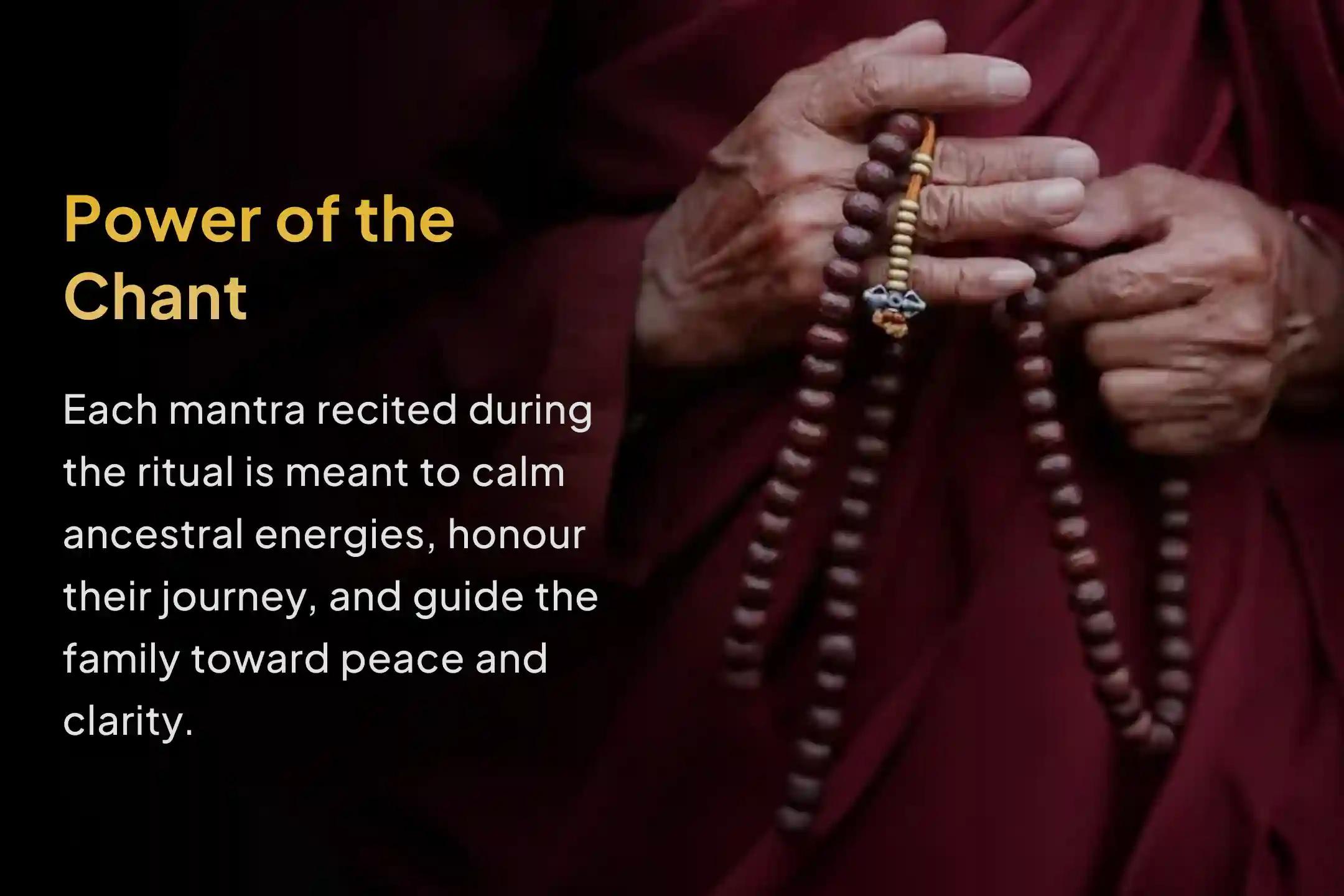 If old family patterns keep returning or peace feels out of reach, this Ancestral Peace & Karmic Release Fire Ritual at Gokarna Kshetra offers a sacred path to heal the past and invite harmony into the present.