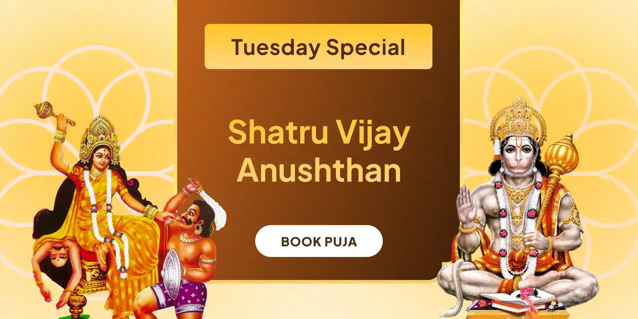 Maa Bagalamukhi Shatru Buddhi Vinashini Yagya and Hanuman Shatrunjay Pujan