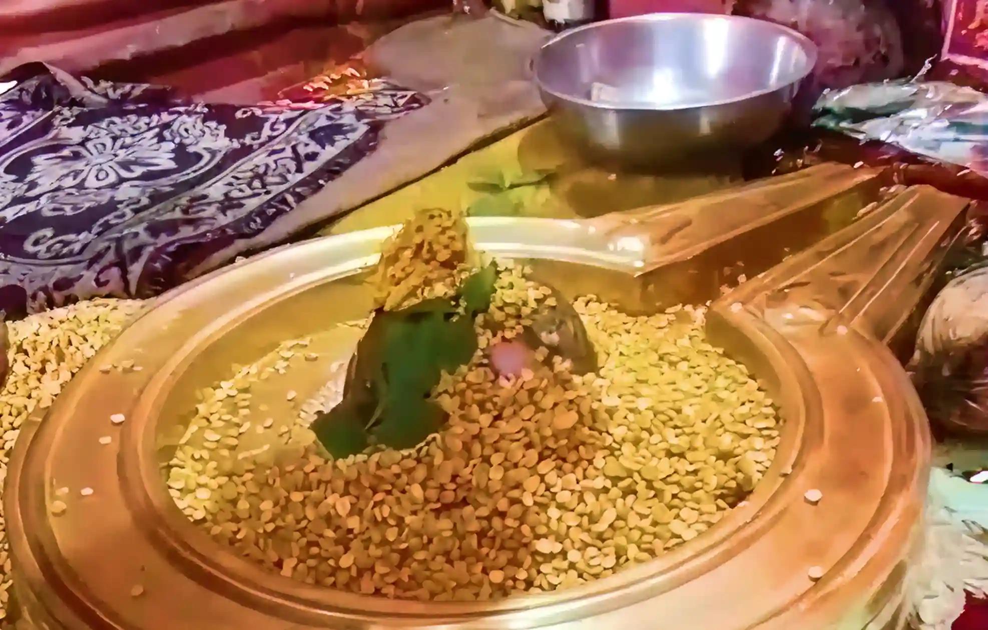 ऋणमुक्तेश्वर मंदिर (ओंकारेश्वर) ,खंडवा 