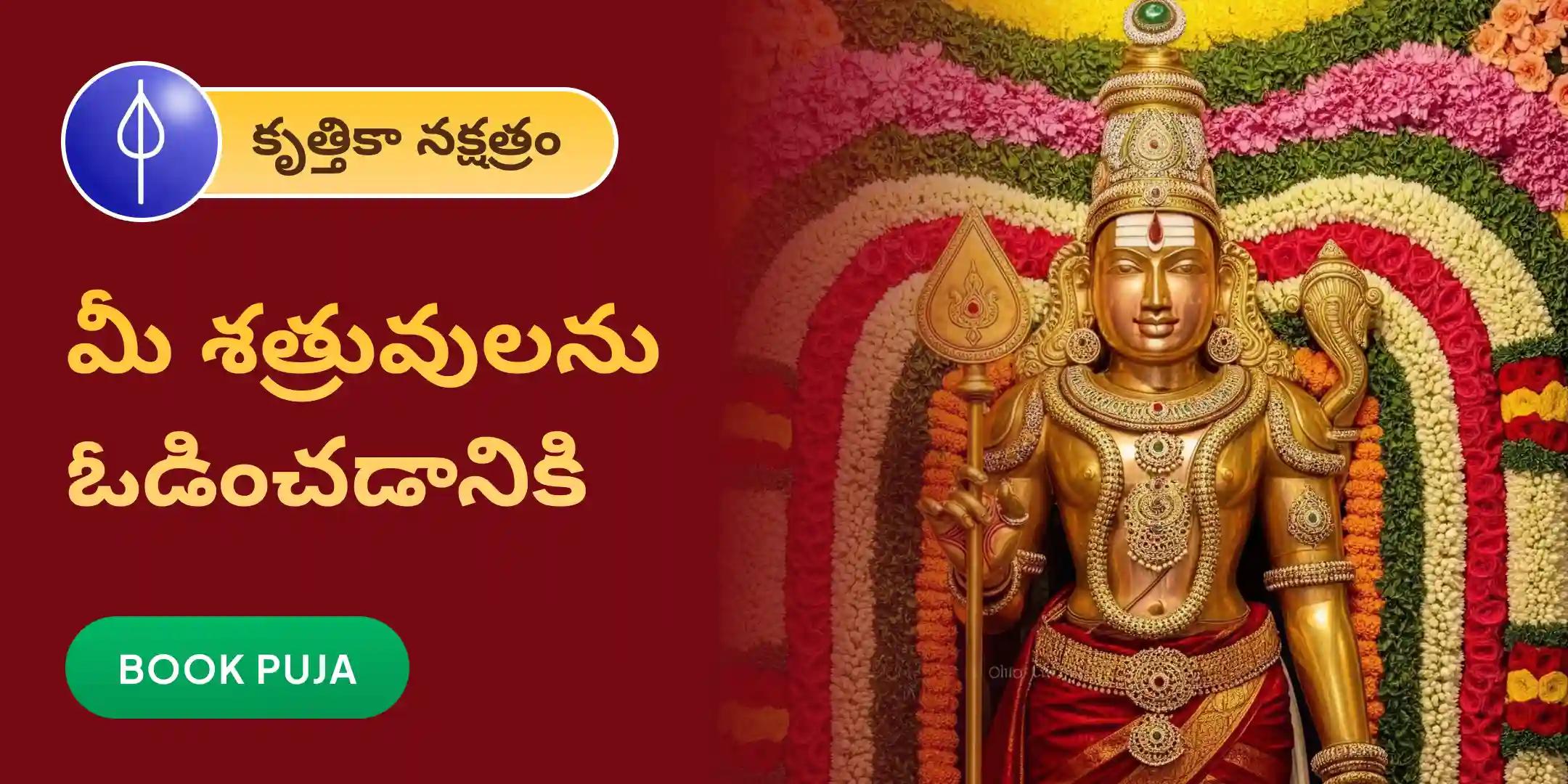 శత్రు సంహర త్రిషతి హోమం