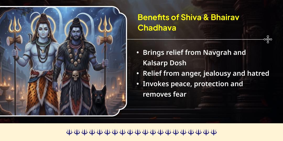 Kalashtami Special Shiv 3 Jyotirling & Bhairav 3 Temple Chadhava