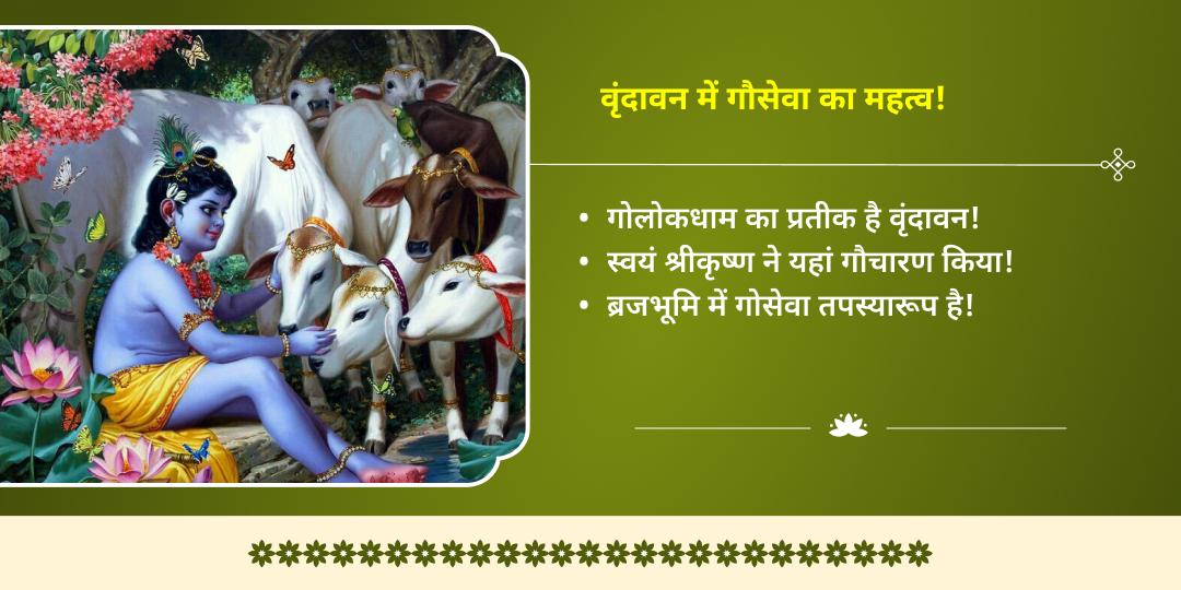 मासिक कृष्ण जन्माष्टमी कृष्ण मोरपंख-माखन मिश्री चढ़ावा एवं बालगोपाल और गौसेवा