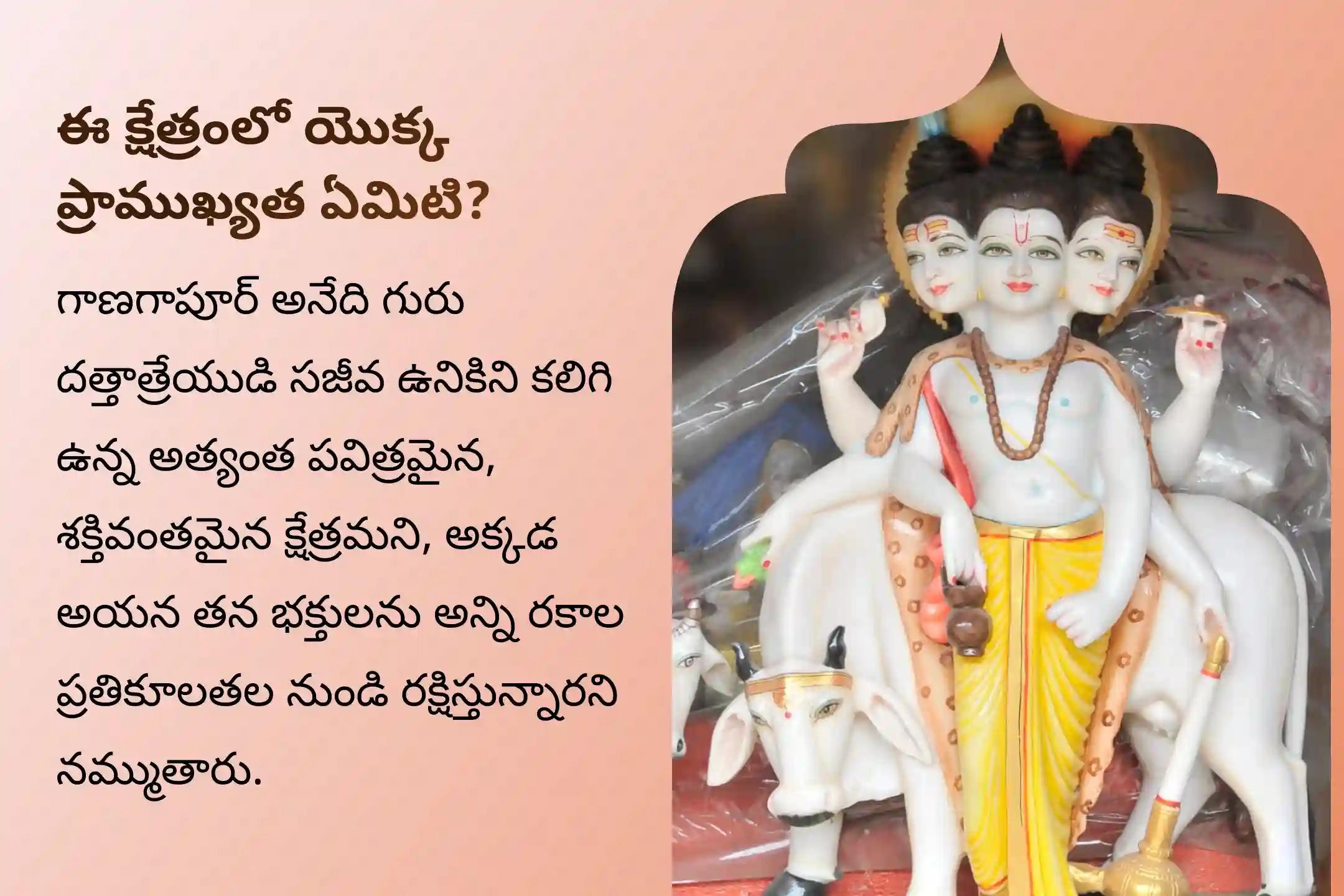పితృ దోషం, పితృ శాపాలు తొలగించడానికి మరియు దృష్టి దోషం నుండి రక్షణ అందించడానికి గాణగాపూర్ క్షేత్ర దత్తాత్రేయ జయంతి ప్రత్యేక దత్తా హోమంలో పాల్గొనండి.